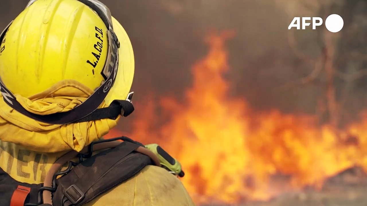 Ausnahmezustand wegen Waldbränden in Kalifornien