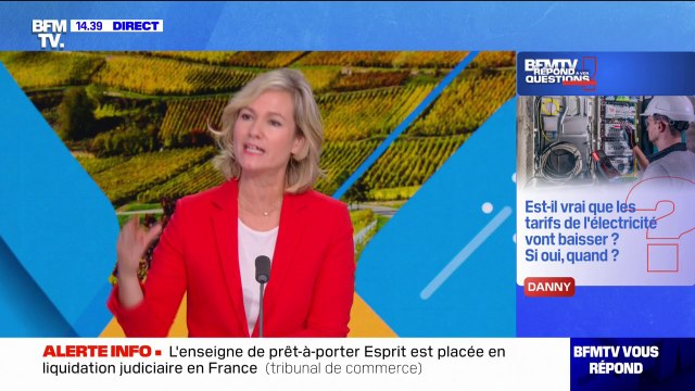 Est-il vrai que les tarifs de l'électricité vont baisser? Si oui, quand? BFMTV répond à vos questions