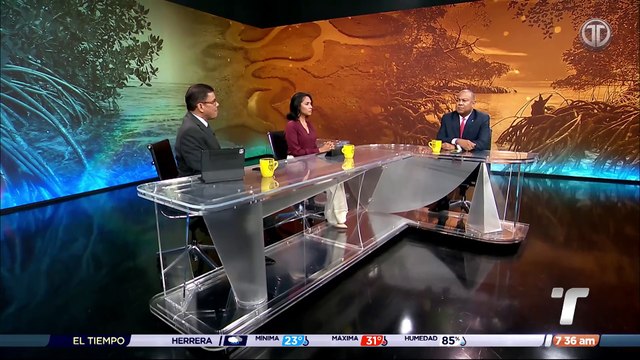 Abogado Mitchell: estudios de impacto ambiental categoría III son difíciles de anular