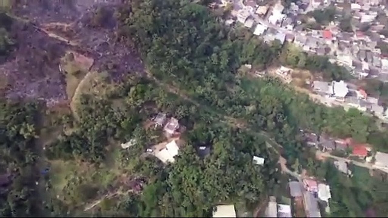 Mata atingida por incêndio em Florianópolis equivale a quase 5 campos de futebol
