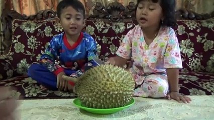 Serunya makan DURIAN - Anak kecil pengen durian - video untuk anak