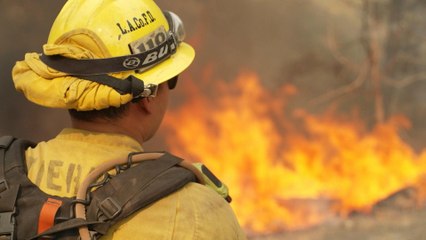 Kalifornien im Alarmzustand: Massive Waldbrände bedrohen Los Angeles 🚒