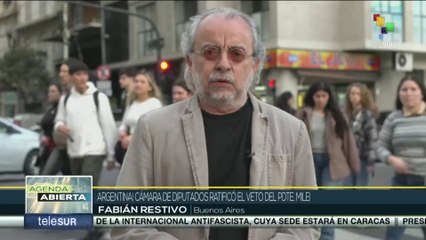 La Cámara de Diputados ratificó el veto del Pdte. Milei