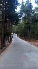 Ushu Forest kalam   #kalam #kpk #beautiful #beauty #beautifulkpk #pakistan #viralvideo #trending