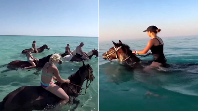 ''Denizde at turu hayvana eziyet''