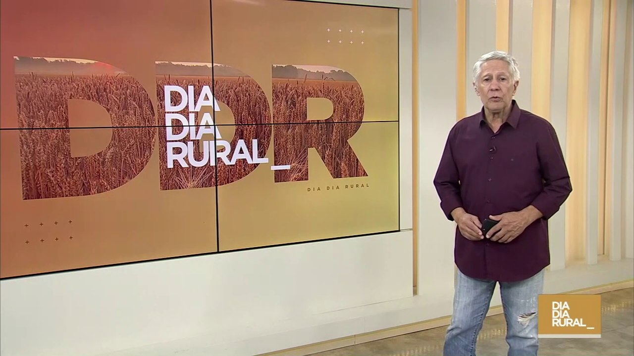 Previsão do tempo desta quinta-feira (12)!
