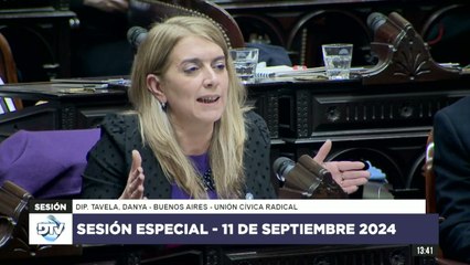 Tavela apuntó a radicales que apoyan el veto de Milei: “Roma no paga traidores y tampoco los vota”