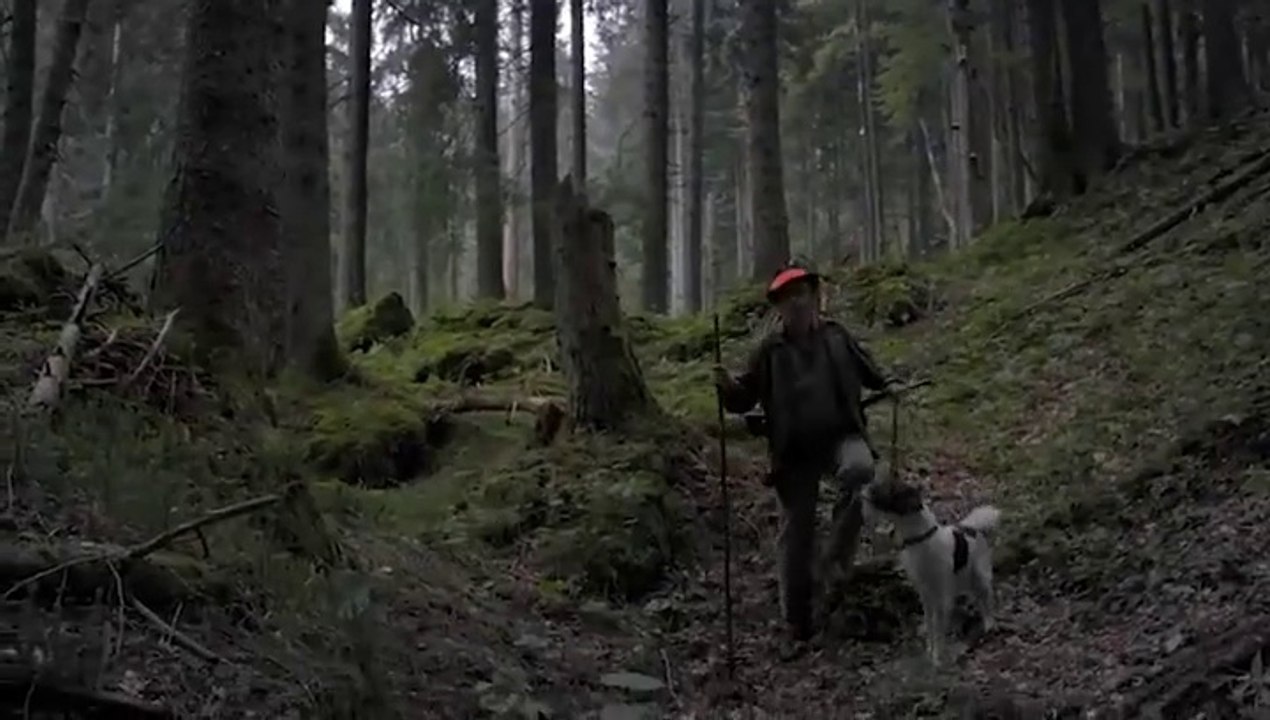 Landkrimi -02- Steirerblut