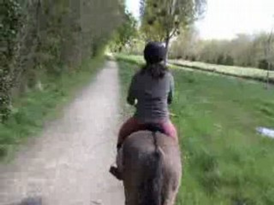 Au trot: Melodie t es à la bourre