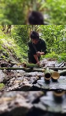 Making a house in forest to complete the challenge.