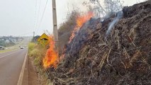 Incêndio é registrado na marginal da BR-277 em Cascavel