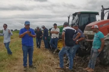 MIDA pide traslado de partida por más de $4 millones para pagar subsidio del arroz