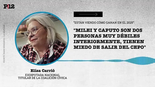 Carrió apuntó a que el gobierno de Milei está concentrado en las elecciones 2025 y criticó la demorada salida del cepo