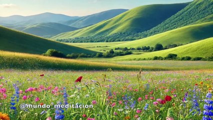 Melodías Alegres para Inspirar Felicidad y Energía Positiva