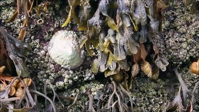 The Disappearance of the Flannan Isles Lighthouse Keepers
