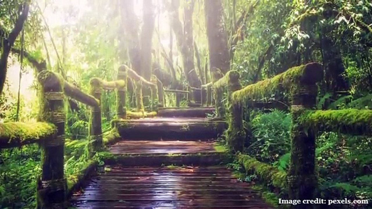 The Delphi Murders: Abigail Williams and Liberty German