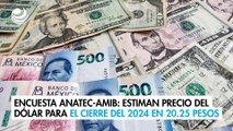 Encuesta Anatec-AMIB: Estiman precio del dólar para el cierre del 2024 en 20.25 peso