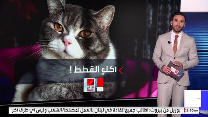 "المهاجرون يأكلون القطط والكلاب".. قصة أشهر شائعة بالمناظرة بين ترمب وهاريس