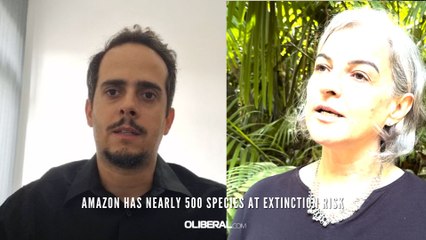 Amazon has nearly 500 species at extinction risk