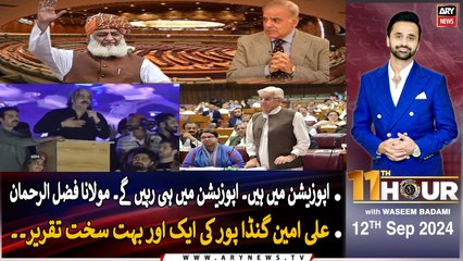 11th Hour | Waseem Badami | ARY News | 12th September 2024