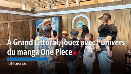 À Grand Littoral, jouez avec l’univers du manga One Piece