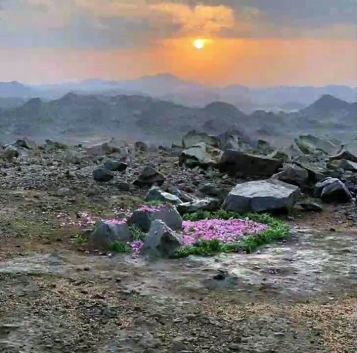 Hazrat Abdullah aur Hazrat Amina ki shadi ka waqia Part 19 || Tareekh e Muslim