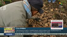 Presentan mecanismos que protegen a campesinos colombianos