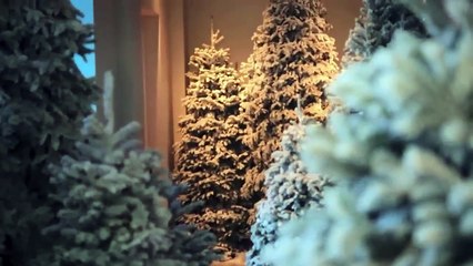 The Kardashians: Stick Up Your Ass - Season 5 : Best Moments | Pop Culture