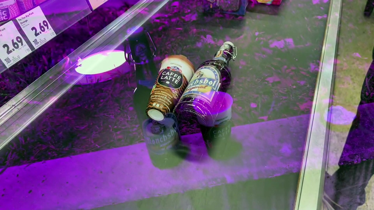 Das BESTE ASIATISCHE BUFFET RESTAURANT in BRAUNSCHWEIG! ｜ Food Vlog ｜ Teddy D. Dragon