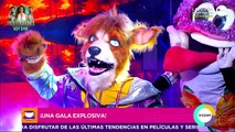 Entrevista exclusiva a Ludwik Tapia, el desenmascarado de La Máscara