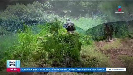 El gobierno estatal de Chiapas protege a criminales