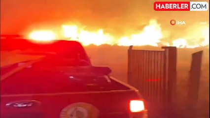 Muş'ta 3 ayrı alanda çıkan orman yangınları söndürüldü