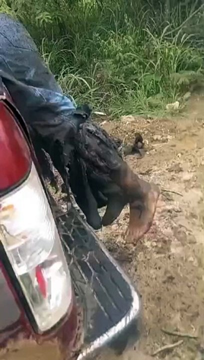 WhatsApp Video 2024-09-12 at 4.17.06 PM (1)