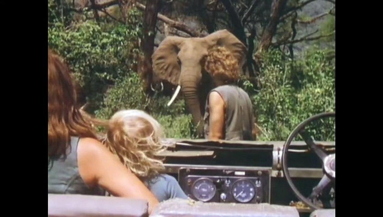 A Life Among Elephants | movie | 2024 | Official Trailer