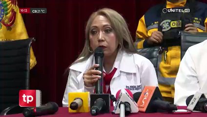 Con el sol cubierto por la humareda, las abejas se pierden y mueren, advierte apicultor en Cochabamba