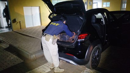 PRF apreende 180 quilos de maconha em veículo na BR-277 em Céu Azul