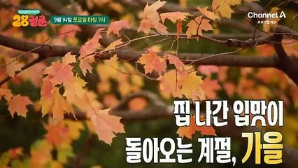 [예고] 집 나간 입맛이 돌아오는 계절 가을! 식욕이 아닌 식탐을 관리해라?