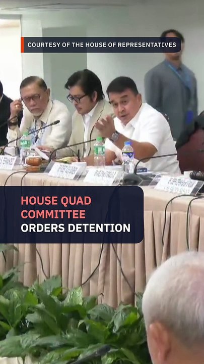 House panel orders Harry Roque detained once more