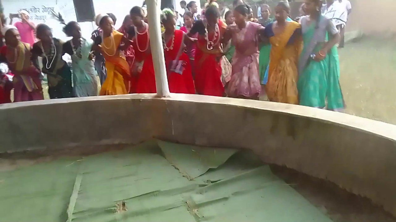 नवा खाई 2024 टिप पारासोनपुर