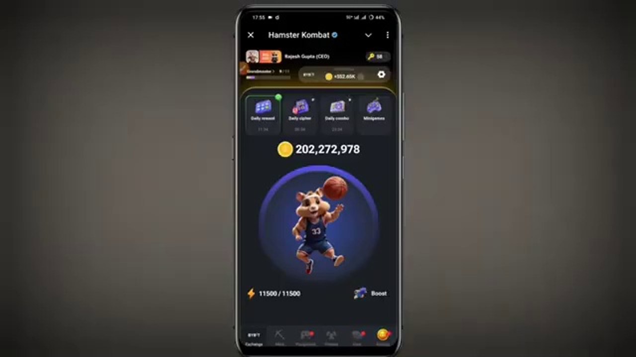 13-September-Daily-Combo-Hamster-Kombat