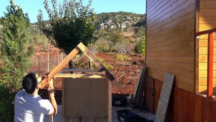 100 days Living Solo on a Farm: Building a Dream Dog House | House in forest 56 | Camping Amazing