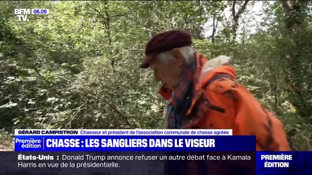 En Haute-Garonne, les sangliers sont dans le viseur des chasseurs