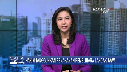 Penangguhan Dikabulkan Hakim, Terdakwa Pemelihara Landak Jawa di Bali Jadi Tahanan Rumah