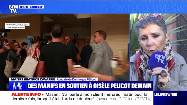Viols de Mazan: l'avocate de Dominique Pélicot juge légitime la mobilisation en soutien à Gisèle Pélicot
