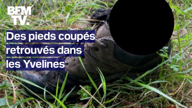Des pieds humains découverts en bord de Seine dans les Yvelines