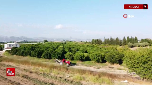 Funda Arar hayranlığı tarlaya traktörle isim yazdırdı