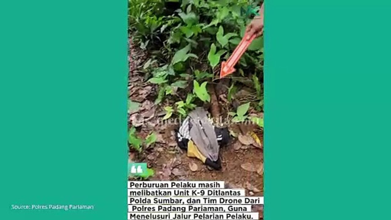 Polisi Kerahkan Anjing Pelacak dan Tim Drone untuk Buru Pembunuh Gadis Penjual Gorengan Nia Kurnia Sari, Barang Bukti Mulai Ditemukan