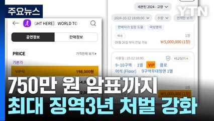 750만 원 암표까지...최대 징역 3년 처벌 강화 추진 / YTN