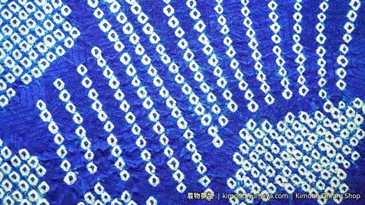 Blue & White Shibori Floral Furisode with Chrysanthemums, Peonies, Umezakura, Kanoko, Kaede, Tachibana - Abstract Vintage Soft HQ Silk Women's Kimono