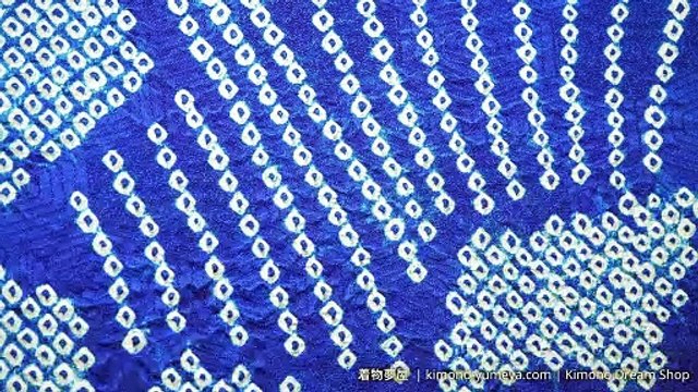 Blue & White Shibori Floral Furisode with Chrysanthemums, Peonies, Umezakura, Kanoko, Kaede, Tachibana - Abstract Vintage Soft HQ Silk Women's Kimono